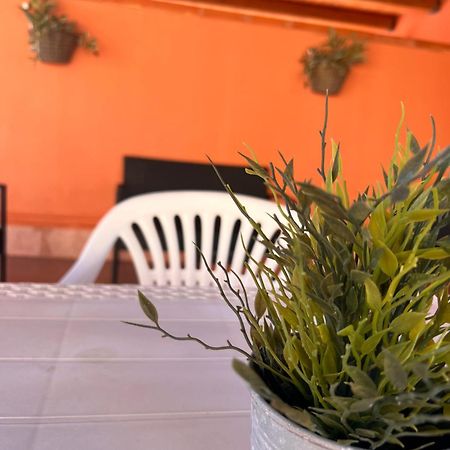 Casa Vacanze Filippa Balestrate Kültér fotó